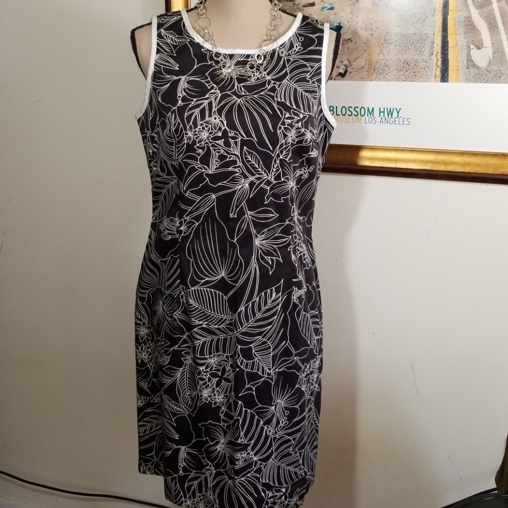 Danny & Nicole sleevesless pattern dress. Size 10P